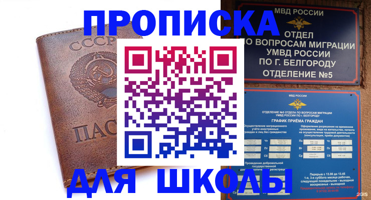 прописка для кредита в Лосино-Петровском